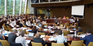 МКІП: Світлана Фоменко взяла участь у онлайн-засіданні Комітету Ради Європи