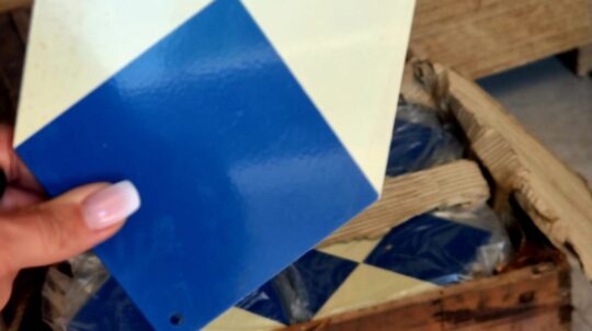 Агенція культурної спадщини Нідерландів передала Україні синьо-блакитні щити
